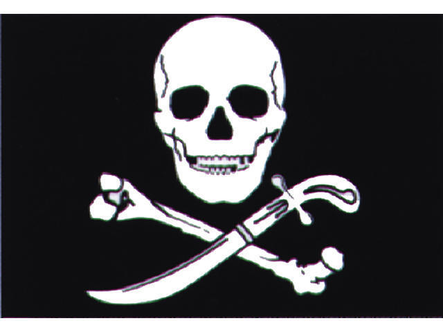 Talamex Piratenvlag