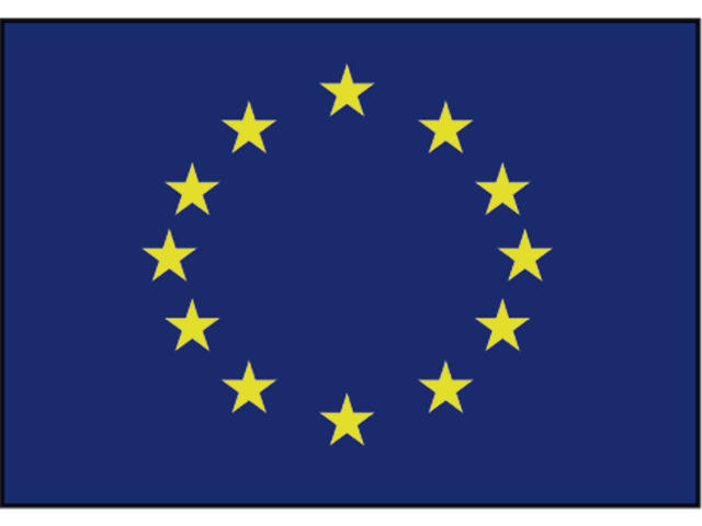 Talamex Vlag Europa 50x75 cm