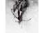 Warner Music The Hunting Party
