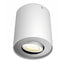 Philips PILLAR HUE single wit met dimmerswitch