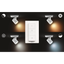 Philips RUNNER HUE Single Spot