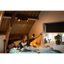 Philips RUNNER HUE Single Spot