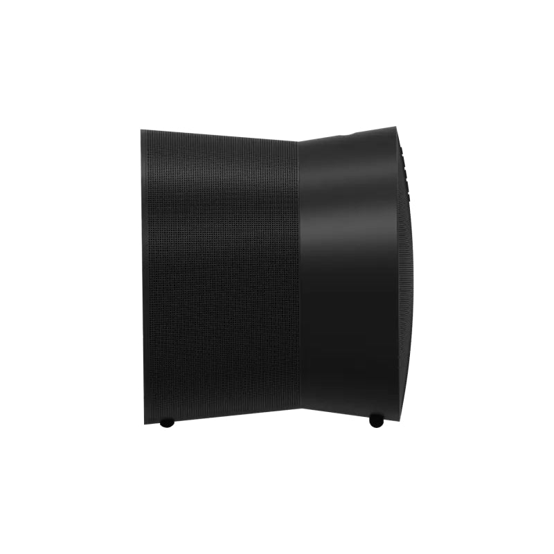 Sonos Era 300 zwart premium smart speaker