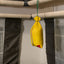 Dry-Bag 1000 gram ontvochtiger
