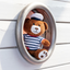 Bron Teddybeer