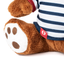 Bron Teddybeer