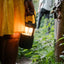 Pure Woodland Glow lantaarn met Bluetooth