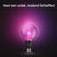 Philips Hue LG G95 E27 EU Globe vormige design smart lichtbron