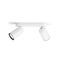 Philips Pongee bar/tube 2xNW