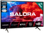 Salora 24HA220 Android smart TV