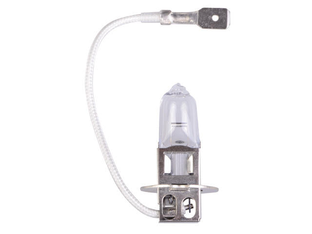 Talamex Halogeenlamp 12V/55W PK22S