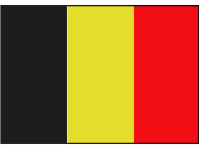 Talamex Vlag België 20x30 cm