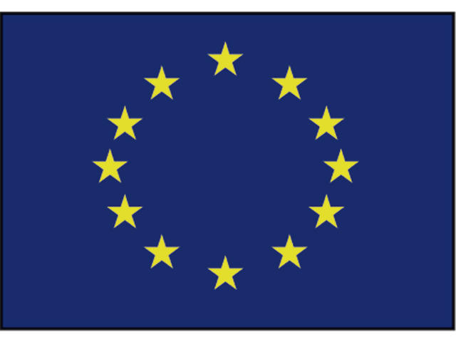 Talamex Vlag Europa 50x75 cm