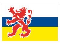 Talamex Vlag Limburg 20x30 cm