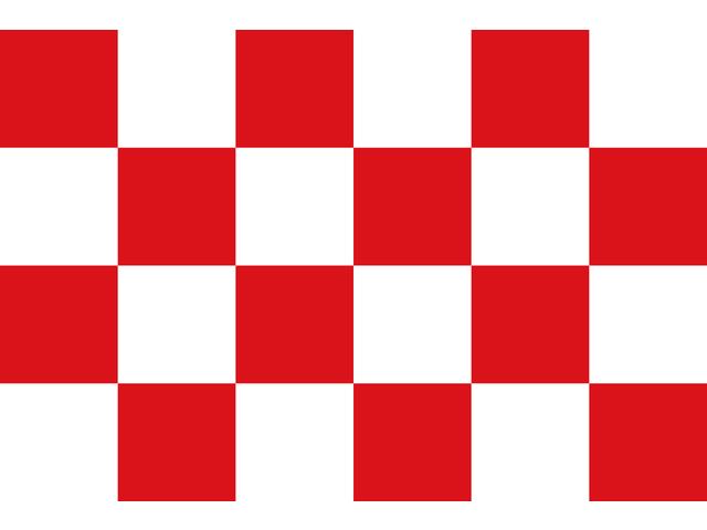 Talamex Vlag Noord-Brabant 20x30 cm