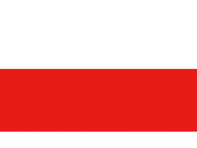 Talamex Vlag Polen 20x30 cm
